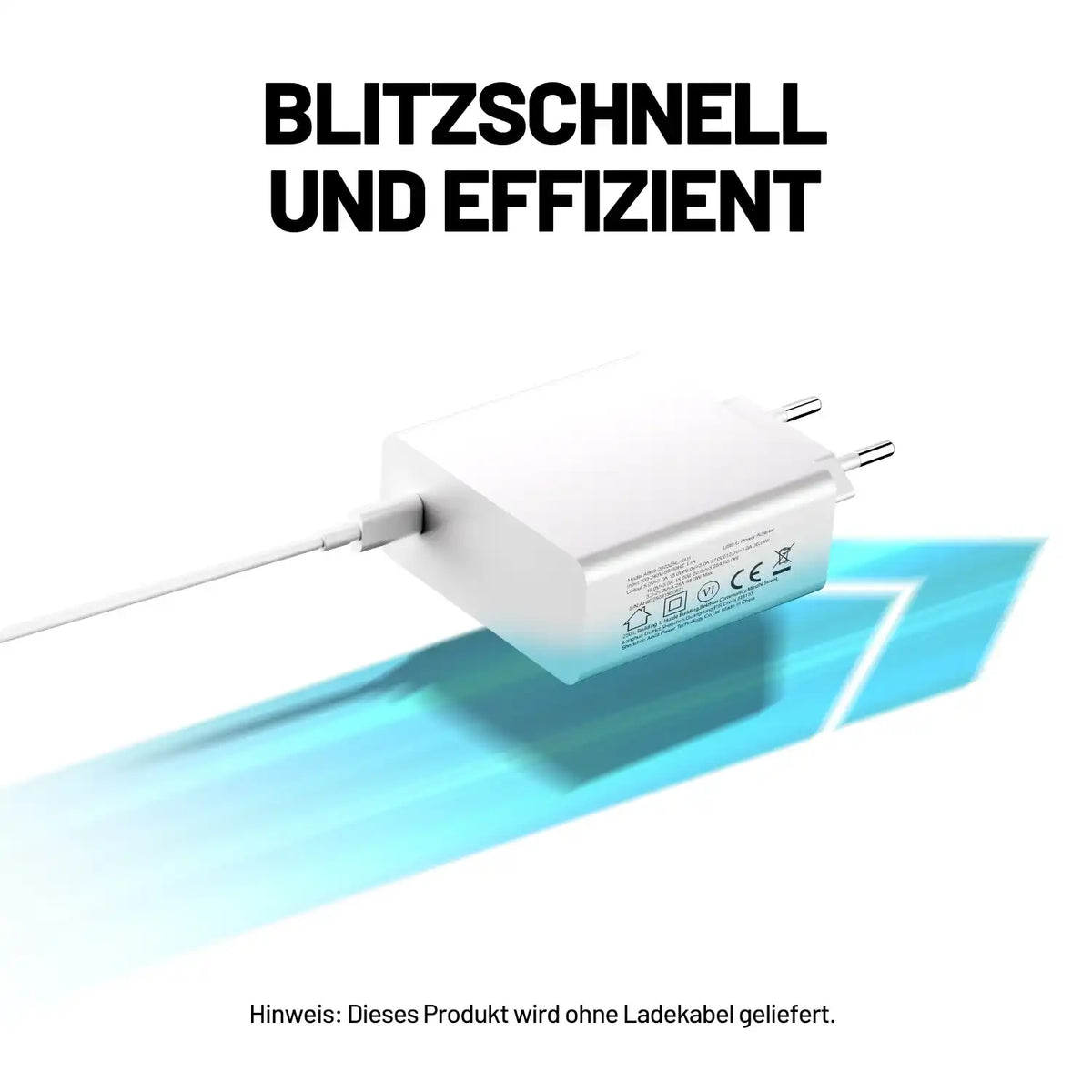 65W PD Schnellladegerät für schnelles Aufladen von Litheli U20 Akkus