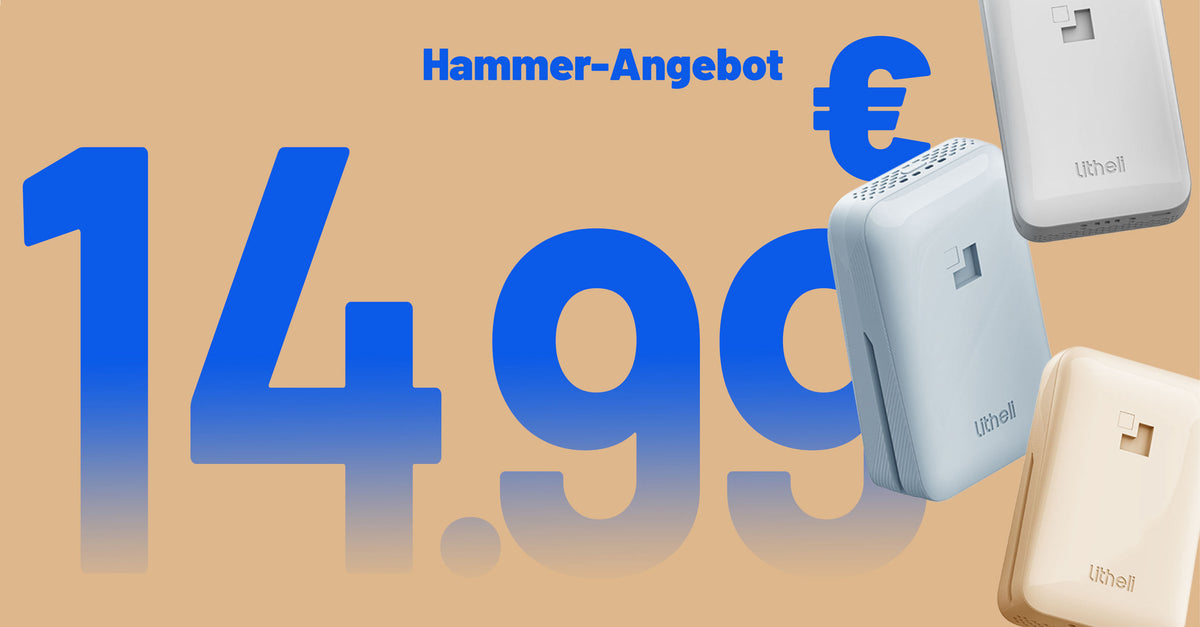 Litheli 2-in-1 Akku und Powerbank Sonderangebot