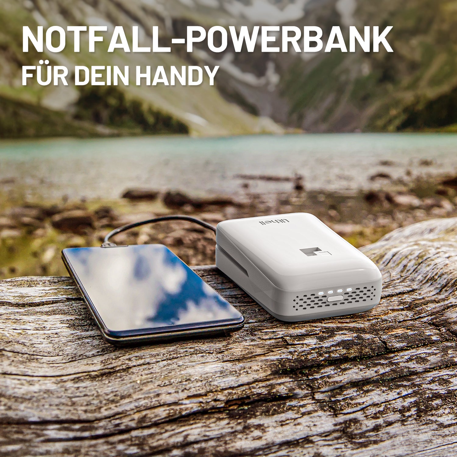 Litheli U20 20V Akku-LED-Arbeitsleuchte mit Akku