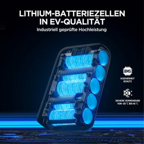 Litheli 4,0Ah 20 V 2-in-1 Werkzeugakku & Powerbank
